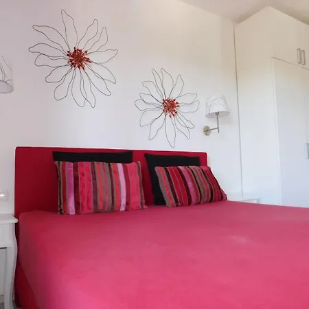 Apartment Coloured